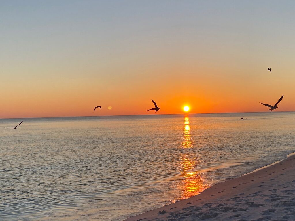 2 Condominium vacation rental located in Destin 1
