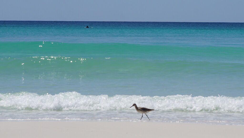 2 Condominium vacation rental located in Destin 1