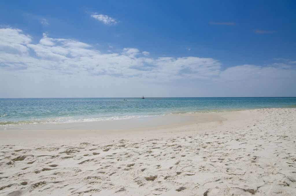 2 Condominium vacation rental located in 30A 1