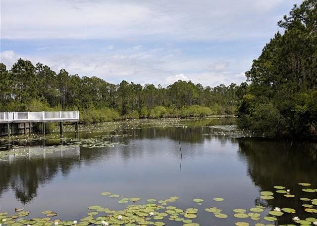 3 Condominium vacation rental located in 30A 1